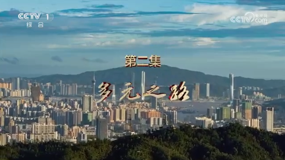 《二十五载莲花情》 第2集 多元之路 