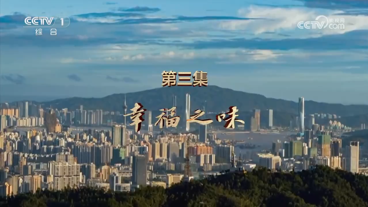 《二十五载莲花情》 第3集 幸福之味 